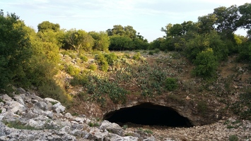 Bracken Cave